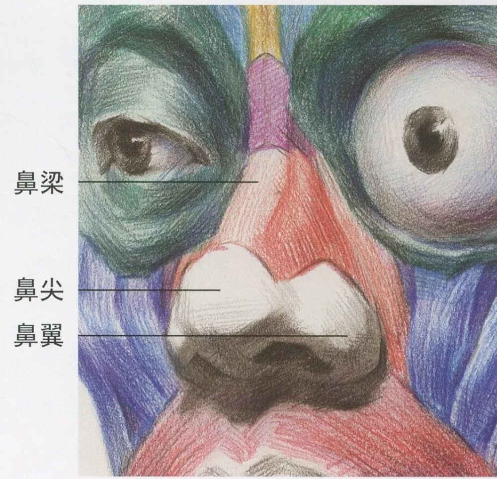 广州艺考画室,广州素描画室,广州画室素描培训,32