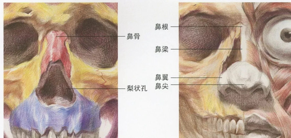 广州艺考画室,广州素描画室,广州画室素描培训,27